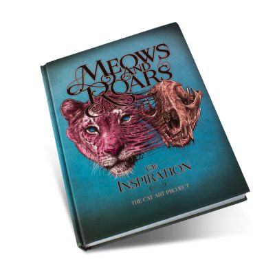 bok-meows-and-roars
